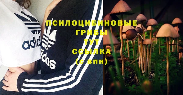 шишки Алексин
