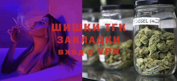 шишки Алексин