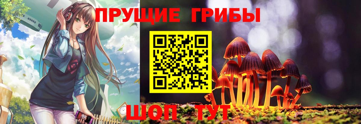Галлюциногенные грибы Cubensis  Вход с VPN  Галлюциногенные грибы Psilocybe  Таганрог 